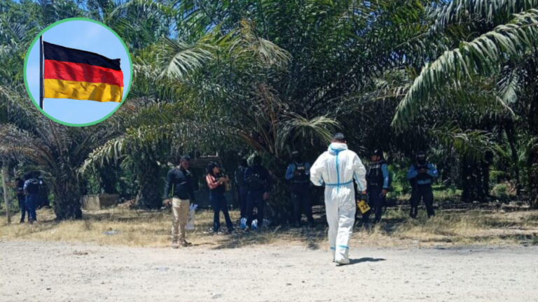 imagen web Maycol (33)