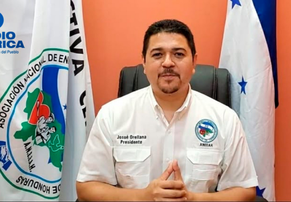 imagen web Maycol (43)