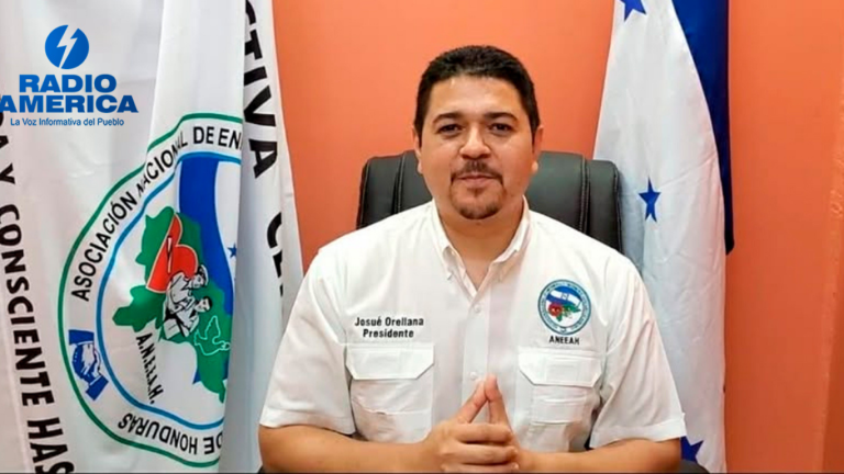 imagen web Maycol (43)