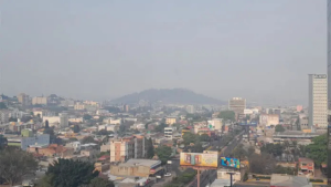 imagen web Maycol (48)