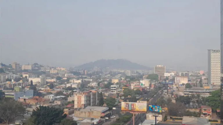 imagen web Maycol (48)