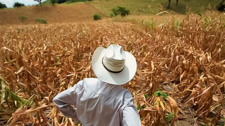 imagen web Maycol (5)