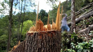imagen web Maycol (8)