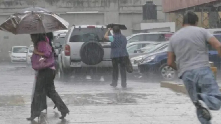 imagen web Maycol (86)