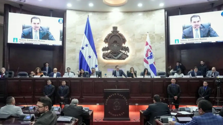 imagen web Maycol (95)