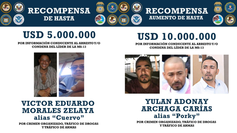 Copia de Diseño sin título