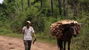 Copia de Web (49)