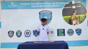 Copia de Web (69)