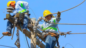 ENEE cableado