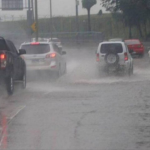 imagen web Maycol (16)