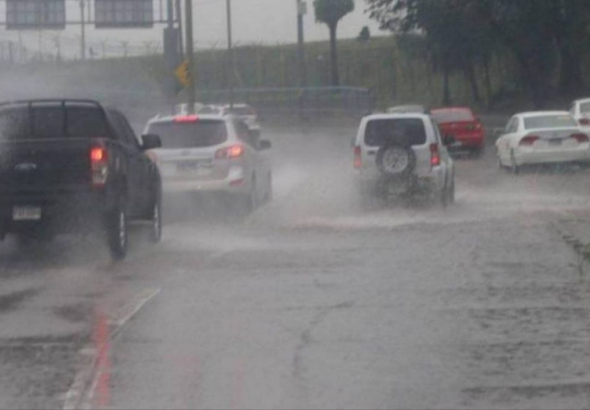 imagen web Maycol (16)