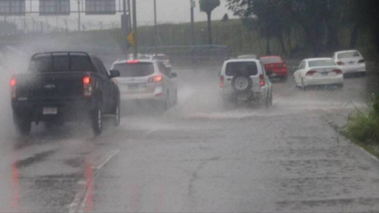imagen web Maycol (16)