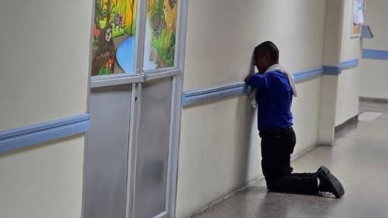 imagen web Maycol - 2026-06-02T201714.485