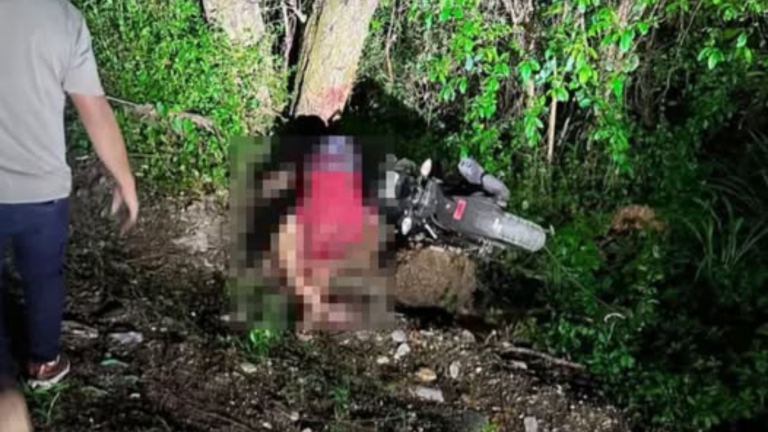 imagen web Maycol - 2026-06-07T084441.738