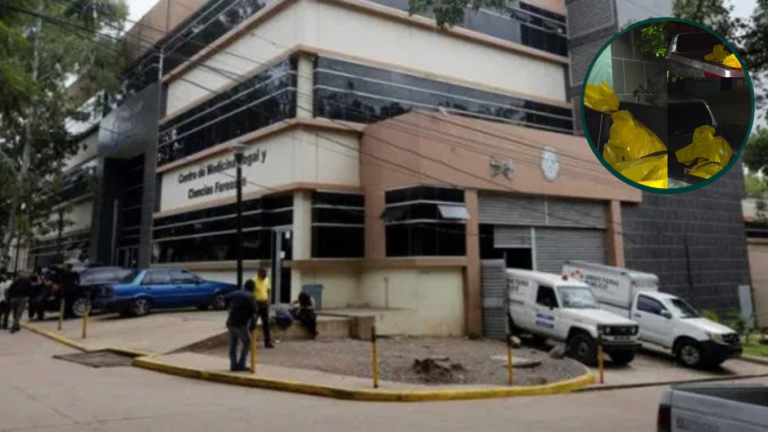 imagen web Maycol - 2026-06-07T115939.828