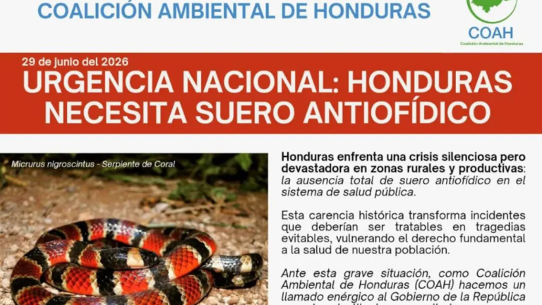 imagen web Maycol - 2026-06-30T202116.693