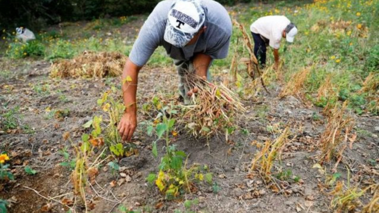 imagen web Maycol (26)