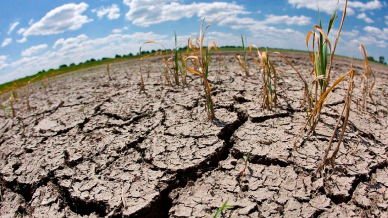 imagen web Maycol (27)