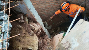 imagen web Maycol (35)