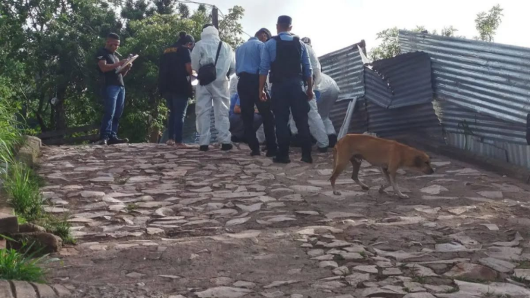 imagen web Maycol (38)