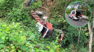 imagen web Maycol (42)