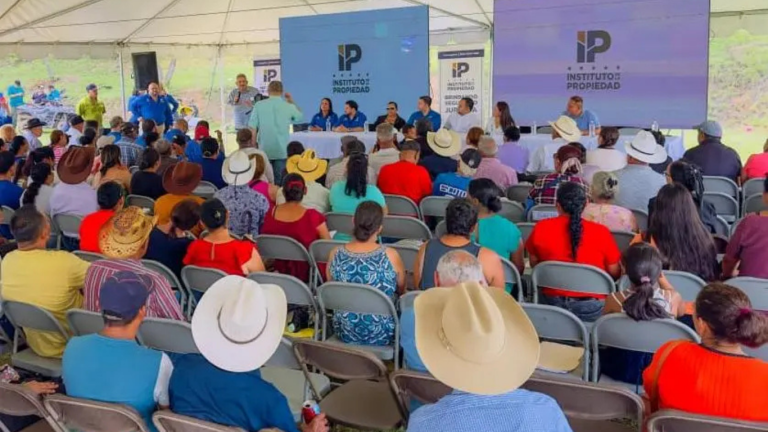 imagen web Maycol (61)