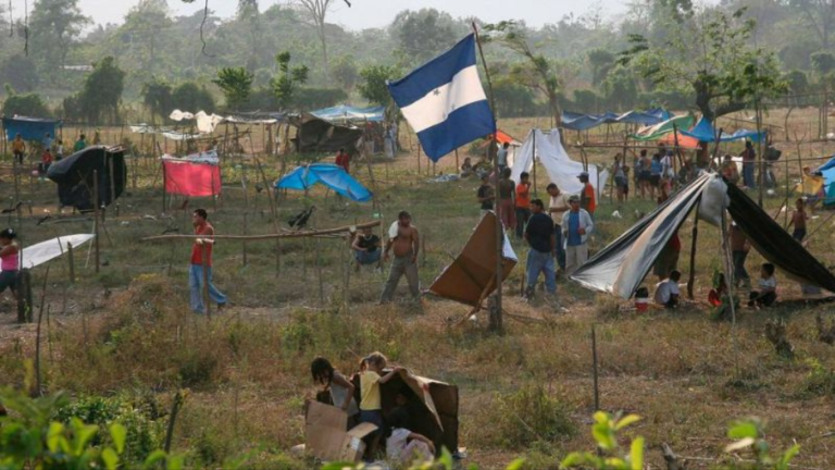 imagen web Maycol (72)