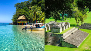 imagen web Maycol (73)