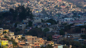 imagen web Maycol (79)