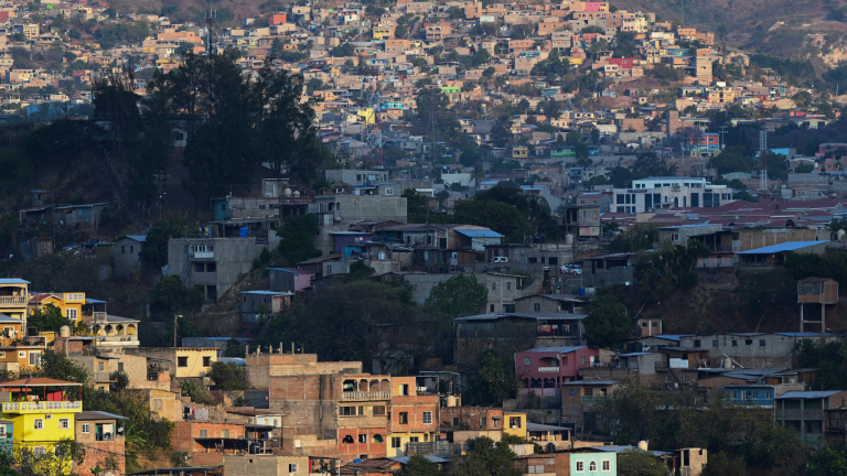 imagen web Maycol (79)