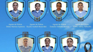 imagen web Maycol (80)