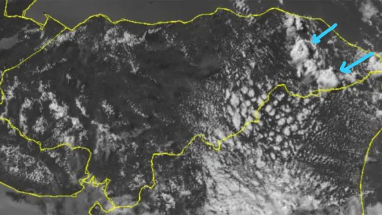 imagen web Maycol (87)