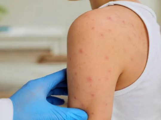 Captura de pantalla 2026-07-06 172245