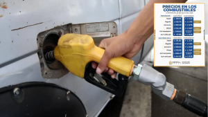 Web - 2026-07-24T120947.344