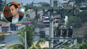imagen web Maycol (19)