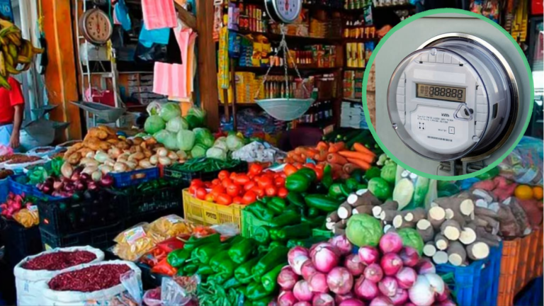 imagen web Maycol - 2026-07-09T191429.630