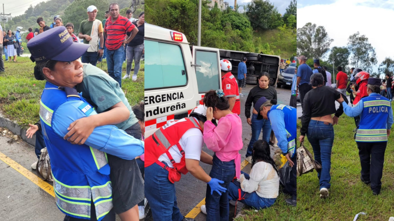 imagen web Maycol - 2026-07-12T183545.929