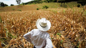 imagen web Maycol - 2026-07-21T213840.709