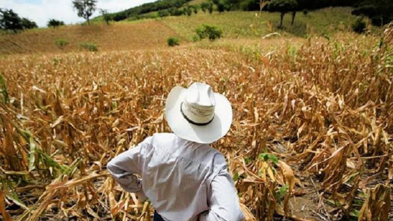 imagen web Maycol - 2026-07-21T213840.709