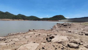 imagen web Maycol - 2026-07-28T200121.263