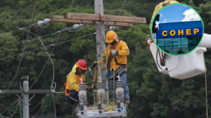 imagen web Maycol (29)