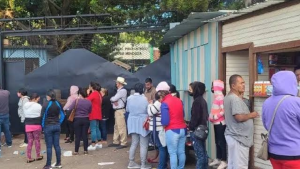 imagen web Maycol (38)