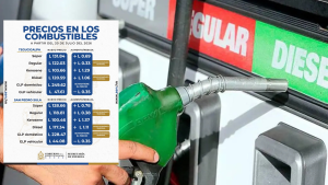 imagen web Maycol (82)