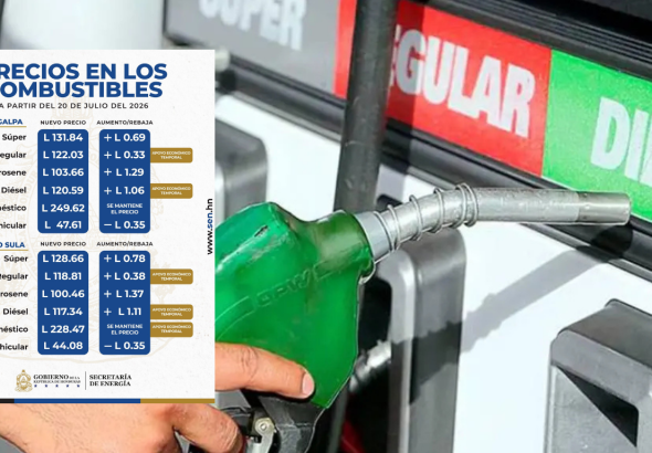 imagen web Maycol (82)