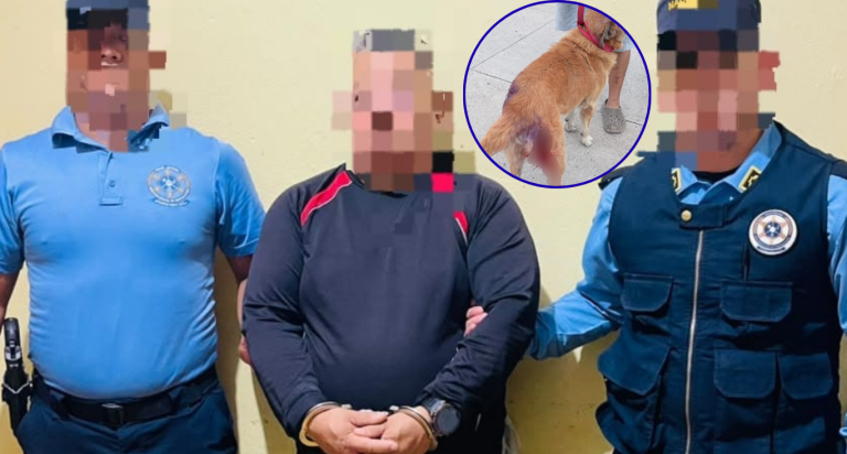 Diseño sin título (4)
