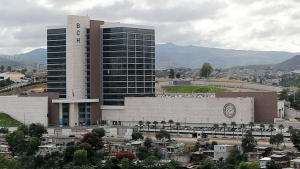 Web - 2026-08-11T084140.586