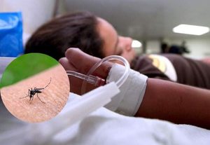 dengue