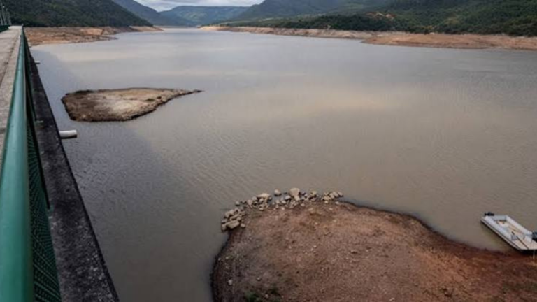 imagen web Maycol (20)