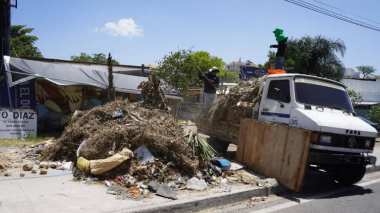 imagen web Maycol - 2026-08-03T185245.543