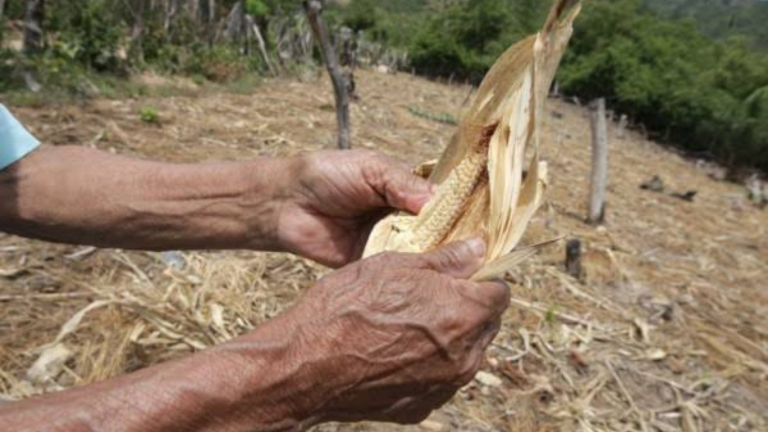 imagen web Maycol - 2026-08-05T203433.307